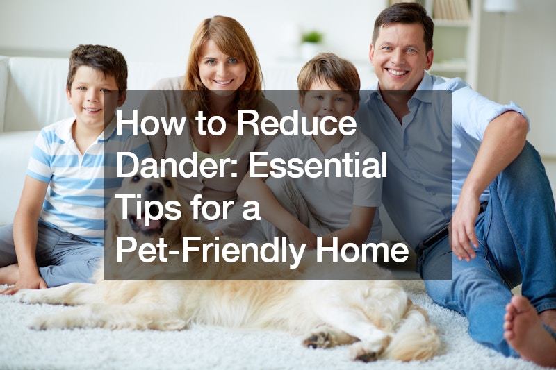 How to Reduce Dander: Essential Tips for a Pet-Friendly Home