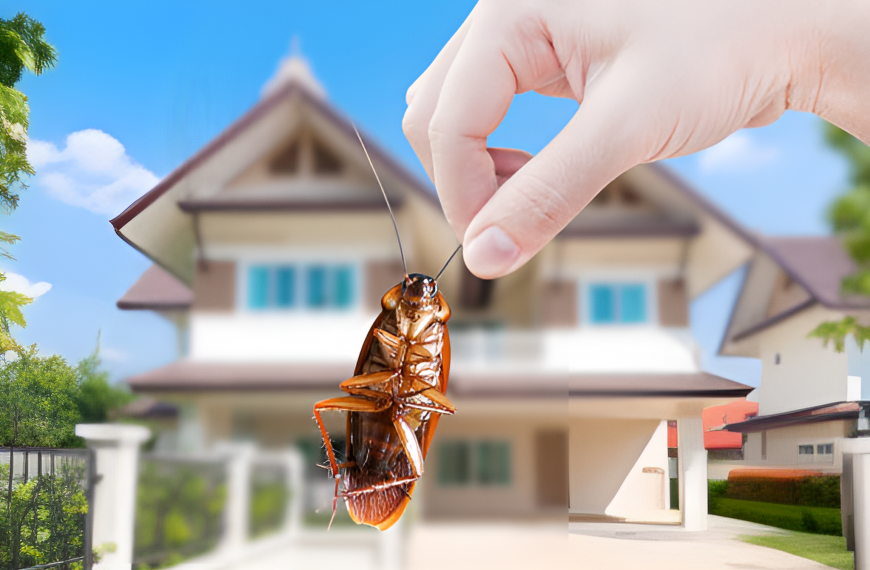 hand holding a cockroach, with a house in the background
